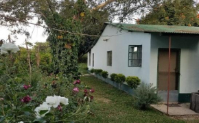 Palm Farm Family House